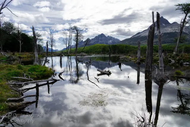 Ushuaia - Argentina (Mar 2024)
