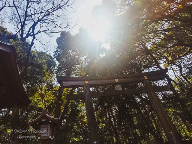 Tokyo - Japan (Mar 2025)